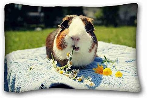 THAFEWKY PILLOWCASE Soft Pillow Case Cover (Animal Guinea Pig) Pillowcase Standard Design Pillow Case Cover suitable for Full-bed Home Decor