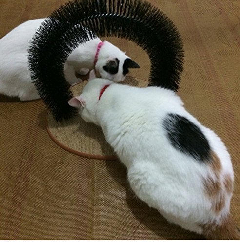 best cat self groomer