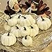 YOFIT 12 Pcs Thanksgiving Table Decorations Artificial Pumpkins, Fake Mini Plastic Pumpkins, Lifelike Simulation Foam Pumpkins Set Friendgiving Tabletop Decorations (White)