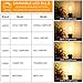 MAXvolador LED Edison Bulb Dimmable, 60W Equivalent 800Lumens, Warmer White, 6W T45 Vintage LED Filament Tubular Light Bulbs, E26 Medium Base, Pack of 4