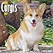 Just Corgis 2017 Calendar