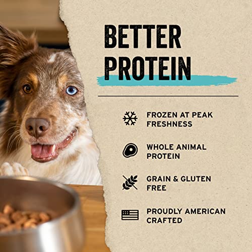 Vital Essentials Freeze Dried Dog Treats, Raw Minnows Treats for Dogs 2