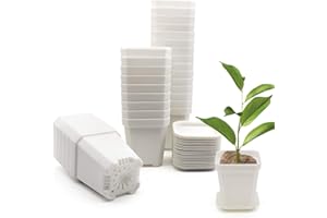 foxany 30 Pcs 3" Nursery Pot, Thick Plastic Square Flower Planting Pots, Plant Seedling Pots, 30 Seed Starting Pots with 30 Saucers - White