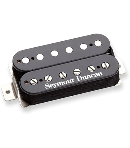 Amazon.com: Seymour Duncan SH-1 Neck '59 Humbucker Pickup Zebra