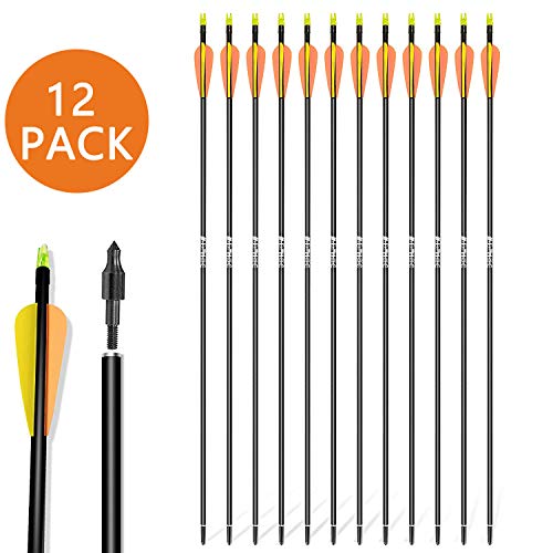 WDLHQC 30inch Fiberglass Arrow for Recurve and Compound Bow Hunting and Practice Hunting - Thumbnail 7