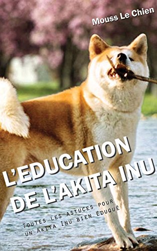 Leducation Du Akita Inu Toutes Les Astuces Pour Un Akita