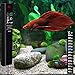 Betta Fish Tank Heater, 25W Mini Aquarium Heaters Free 2 Artificial Plants 1 Stick-on Thermometer Strip 2 Suction Cups, Water Warmer Temperature Controller Smart Thermostat for 3-5 Gallon Tank