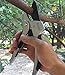 Pexio SK-5 Steel Blade Sharp Anvil Pruning Shears, Less effort, Pulley Design.
