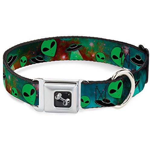 Buckle-Down Flaming Dog Collar Bone