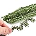 Factory Direct Craft 36 Artificial Canadian Pine Pipe Cleaners Stems for Christmas Decor and Crafting