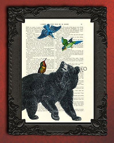 Black Bear Decor and Colorful Birds Poster, Upcycled Woodland Animal Dictionary Art Print