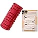Foam Roller for Trigger Point & Physical Therapy, Myofascial Release, Muscle Massage & Pain Recovery, Deep Tissue Massager - Pressure Points Foam Roller, Starter Pamphlet, Storage Compartment