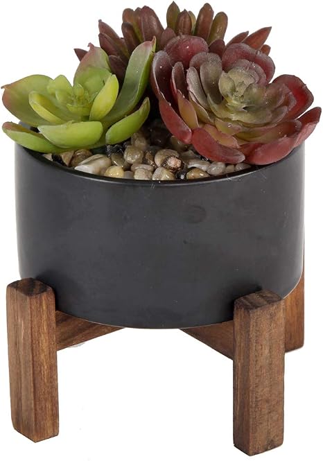 Amazon Flora Buna ミッドセンチュリー 人工植物 人工多肉植物 ガーデンミックス 4インチ セラミックポット スタンド付き ミッドセンチュリープランター ブラック ブラック 人工観葉植物 オンライン通販