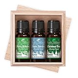 KidSafe Christmas Treasures - Holiday Blend 3 Essential Oil Set. 100% Pure, Undiluted, Therapeutic Grade.