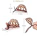 RC ROCHE ORNAMENT 6 Pcs Womens Shell Dome Round Circle Stylish Fashion Plastic Strong Grip Hinge Side Slide Bun Maker Clips Girls Beauty Accessory Hair Clip, Medium Brown