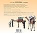 Mi bibliotecaria es un camello (My Librarian is a Camel): Cómo llegan los libros a los niños en todo el mundo