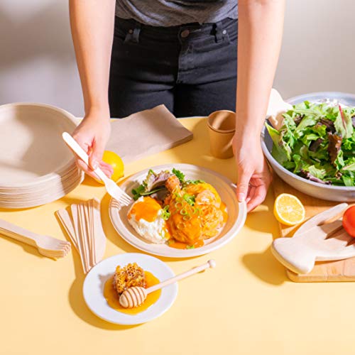 BEELEEVE DISPOSABLE PAPER PLATES – BIODEGRADABLE  125CT WHITE (10 INCH)