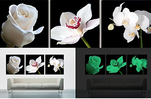 3-piece Set Glow in the Dark Canvas Wall Art, No Energy Use, Flowers on a Black Background (Total: 48 X 16 Inch)