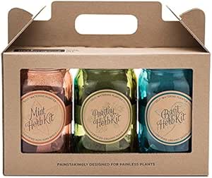 Amazon.com : Modern Sprout Glass Jar Grow Set, Indoor Herb Garden Kit