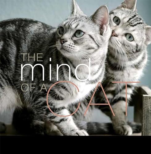 Evidence - Cats & Dogs - Amazon.com Music