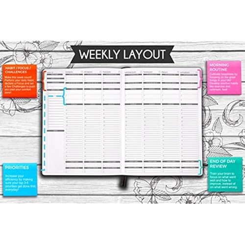 Panda Planner Color - Coloring Book & Weekly Planner for Productivity & Happiness - Weekly Layout, Daily Gratitude, Personal Organizer All-In-1! Softcover - 8.5 Office Products, Office & School Supplies, Calendars, Planners & Personal Organizers, Personal Organizers