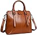 Heshe Women's Handbags Stuctured Shoulder Tote Cross Body Bags Purses for Ladies (Brown-R)