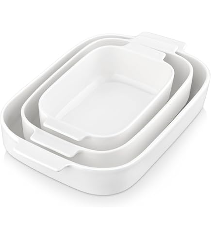 RB RENBERG Rechthoekige bakplaat, van roestvrij staal, maximale antiaanbaklaag, afmetingen 28 x 20 x 6 cm, ideaal voor lasagne-cake, ovendeksel