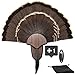 New Age Premium Turkey Fan Mount with Head Honcho European Mount