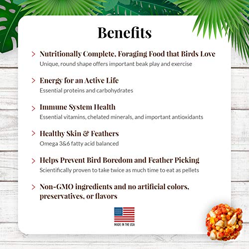 Lafeber's Tropical Fruit Nutri-Berries - Image 3