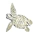 Safari Ltd. Kemp's Ridley Sea Turtle Baby Figurine - Lifelike 5