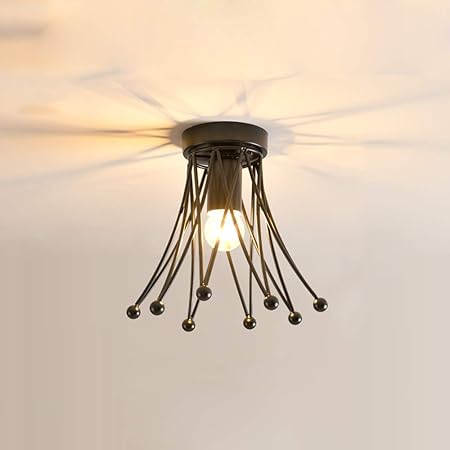 Haixiang Crown Ceiling Fixtures Light Ceiling Lamp Led Light