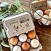 Eggs Not Included- Half Dozen Egg Cartons- 6 Full Size Can Split to 12 Half Size Cartons- Securely Holds 6 or 12 Extra Large Eggs
