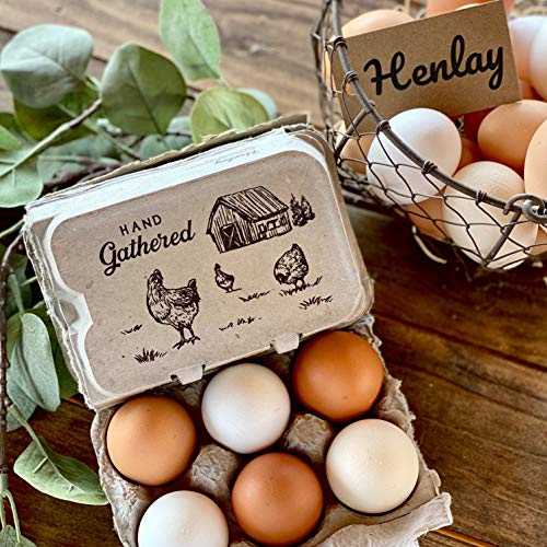 Half Dozen Egg Cartons- 6 Full Dozen Size Can Split to 12 Half Dozen Size Cartons- Securely Holds 6 or 12 Extra Large Eggs