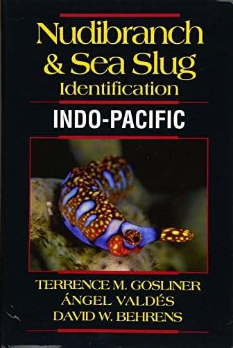 Nudibranch & Sea Slug Identification -- Indo-Pacific Paperback – 30 Sept. 2015