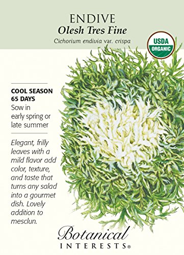 Olesh Tres Fine Endive Seeds - .50 grams - Organic Olesh Tres Fine Endive Seeds - .50 grams - Organic
