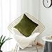Home Brilliant Green Spring Pillow Covers 18x18 Velvet Throw Pillow Covers Decorative Throw Pillows for Couch Party Decor, 45 x 45cm(18 x 18 inches), Avocado Green