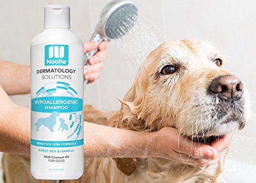 Nootie Hypoallergenic Shampoo for Dogs -Hypoallergenic Dog Shampoo Plus Conditioner For Pets With Allergies And Sensitive Itchy Dry Skin 16oz - Thumbnail 3