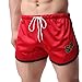 Powerhouese Men's Mesh Short