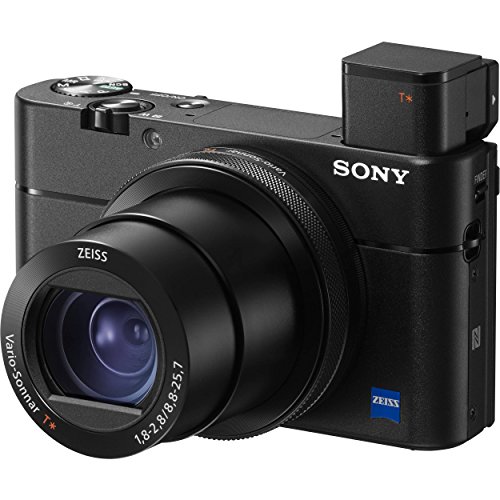SonyÂ Cyber-Shot DSC-RX100 V  Digital Camera + Sony NP-BX1/M8 Battery Spare NP-BX1 Battery, 64gb SDXC 1200x Card, Reader, Case, AC Adapter Bundle Kit - International Version