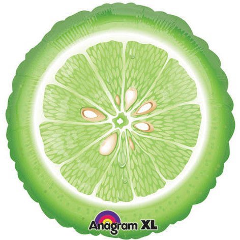 Lime fruit slice 18