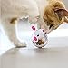 BSMTech Interactive Cat Toy,Mouse Tumbler Feeder Food Dispenser,Tumbler IQ Treat Ball,Fill Chew Toy Dispensing Food Toys for Cats (pink)thumb 2