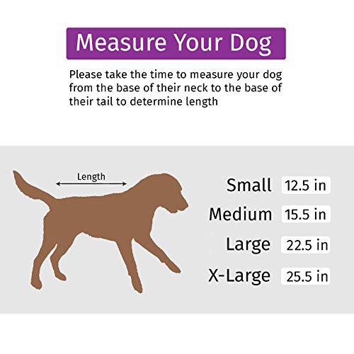 HDE Dog Raincoat Hooded Slicker Poncho for Small to X-Large Dogs and Puppies (Red, Medium)