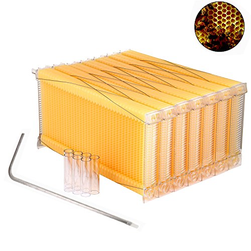 YaeTek 7Pcs Auto Flow Comb Beehive Frames Kit Raw Auto Flow Honey Plastic Flow Honey Beehive Beekeeping with 7 Harvest Tubes and a Harvest Key for Beekeepers