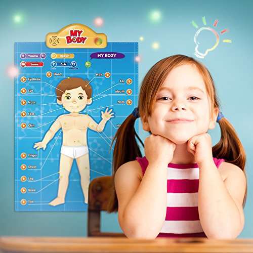 Best Learning i-Poster My Body