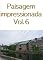Livro Paisagem impressionada Vol.6