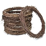 AQUEENLY Grapevine Wreath, 6 PCS Twigs Wreath DIY Vine Wreath Decorations for Front Door Wall Hanging, 7.9 Inches