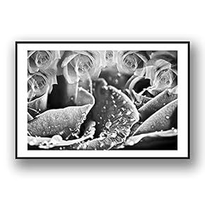 Framed Canvas Wall Art for Living Room, Bedroom Grey Rose Flowers Canvas Prints for Modern Home Decoration Ready to Hang - 16"x24" inches