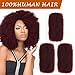 FASHION IDOL Afro Kinkys Bulk Human Hair for Dreadlock Extensions Loc Repair Braiding Twist Tight Afro Kinky Human Hair for Loc 3 Packs 150 Gram Wine Red 12 Inches 5.3 Oz