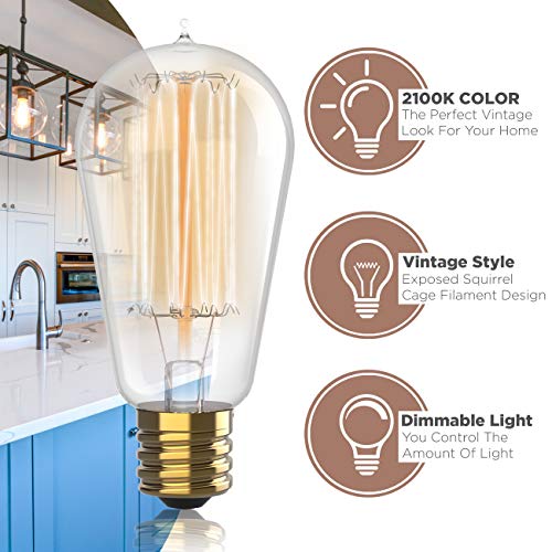 1 Antique+Vintage+Edison+Bulb+Pack