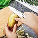Godmorn Paring Knife Fruit Knife 3.5 Inch Forged Peeling Knife - German Stainless Steel Blade + Straight Edge + Spear Point, White Handle, Paring Fruit Vegetable Skin Peeling Slicing Cutting …